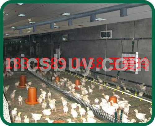 養(yǎng)殖溫控設(shè)備采購,養(yǎng)殖溫控設(shè)備商機(jī) 中國機(jī)電網(wǎng),寧津縣鑫澤新型建材設(shè)備廠